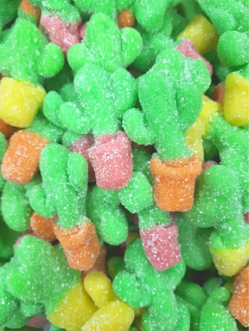 Cactus piquant 100g  € 1,20