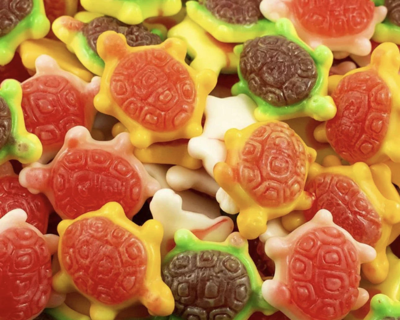 Tortue Multifruits Vidal 100g € 1,40