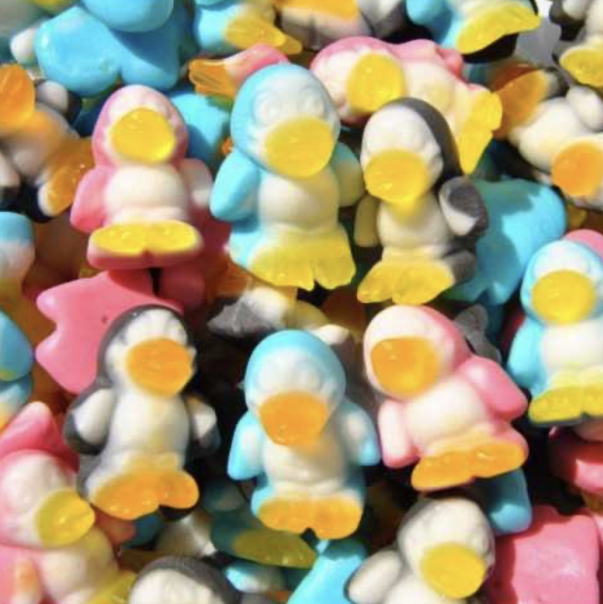 Pingouins lisses Trolli 100g  € 1,10