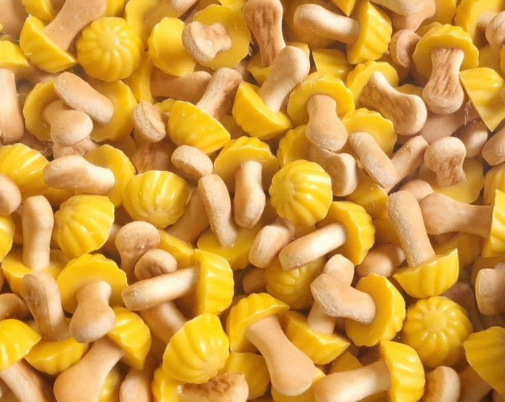 Champignons chocolat / banane 100g €  2,80