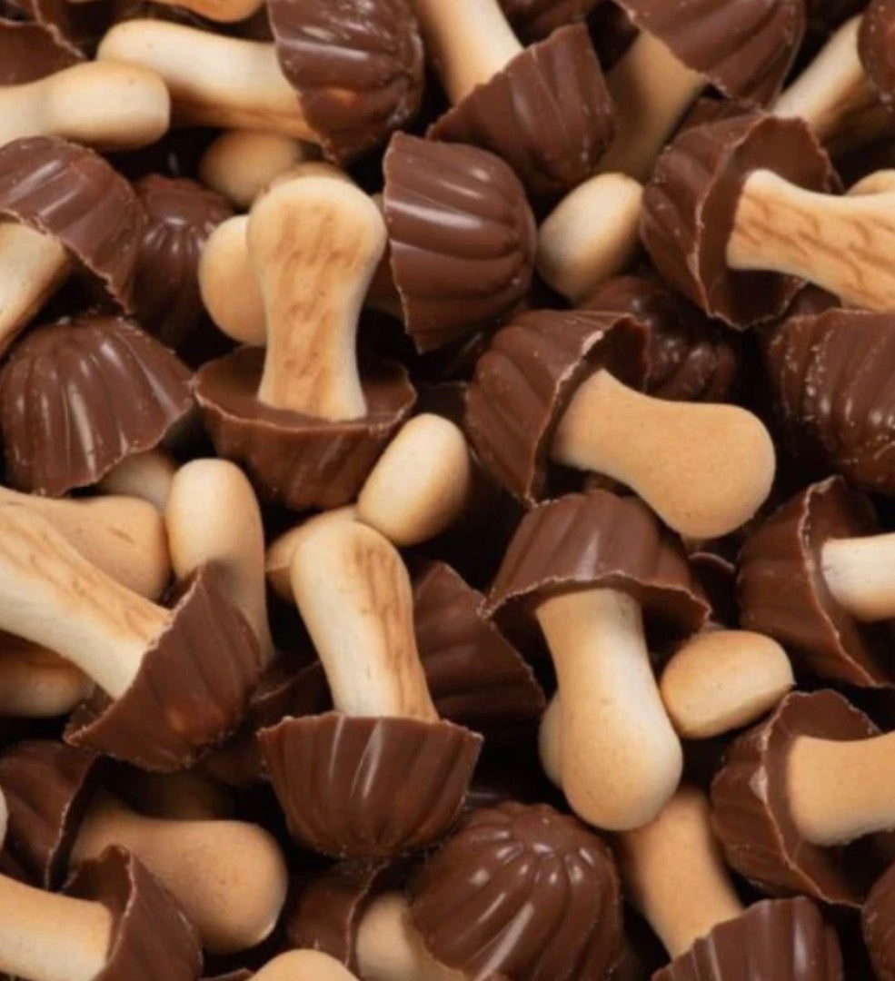 Champignons chocolat noir 100 g €  2,80
