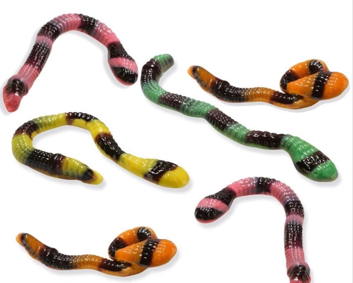 Anaconda lisse 1u €  0,80