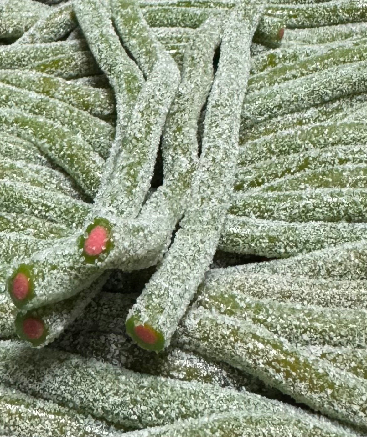 Mini tube sucré Rellenitos pastèque 🍉 12u € 1,40