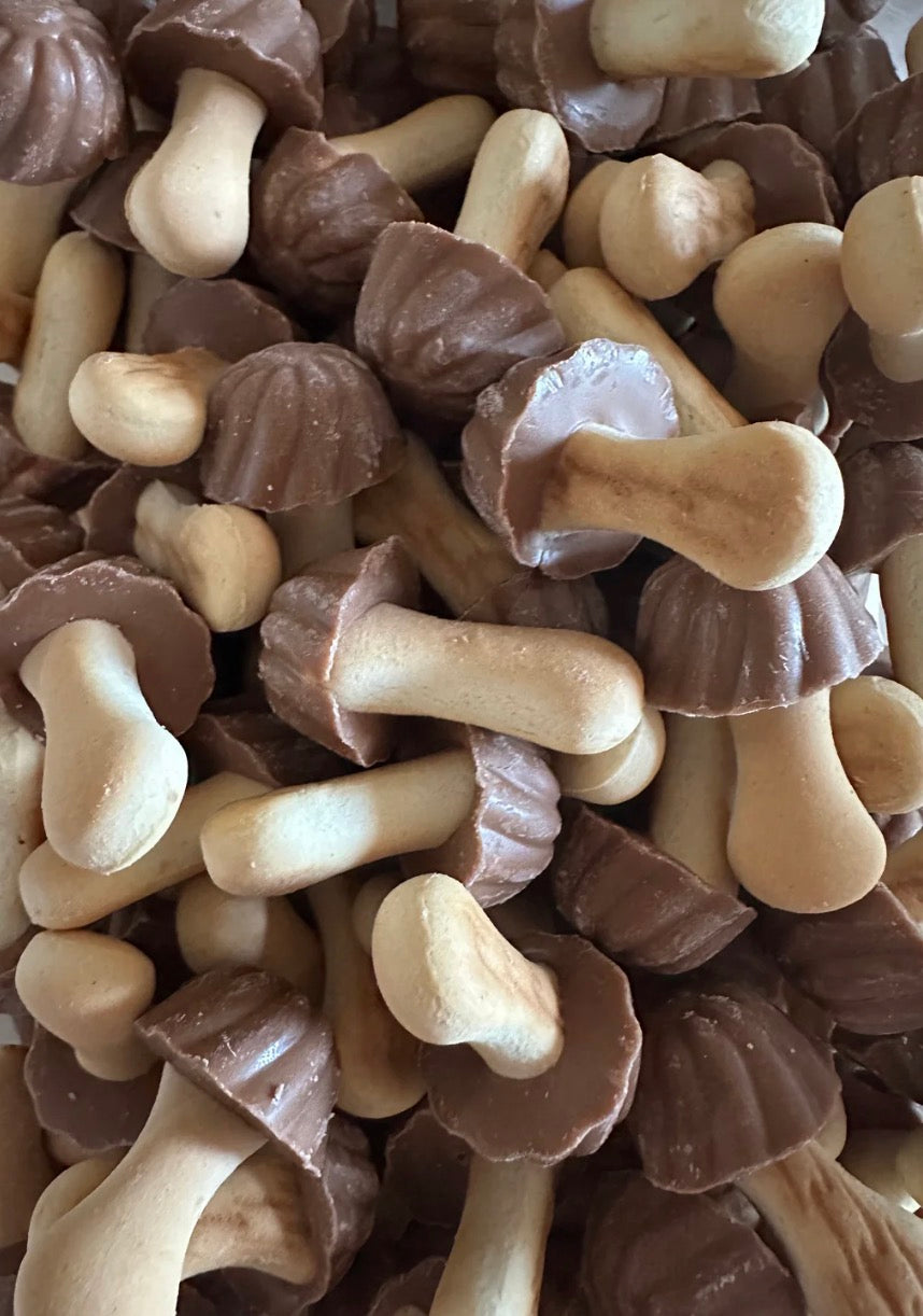 Champignons chocolat /caramel 100g €  2,90