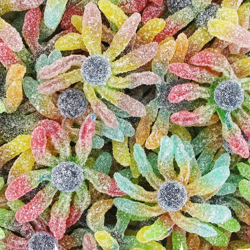 Octopus sucrée  100g  € 1,20